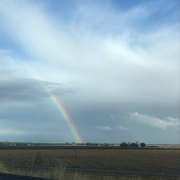 Meet your Posher, Paloma - Picture 1 of 1